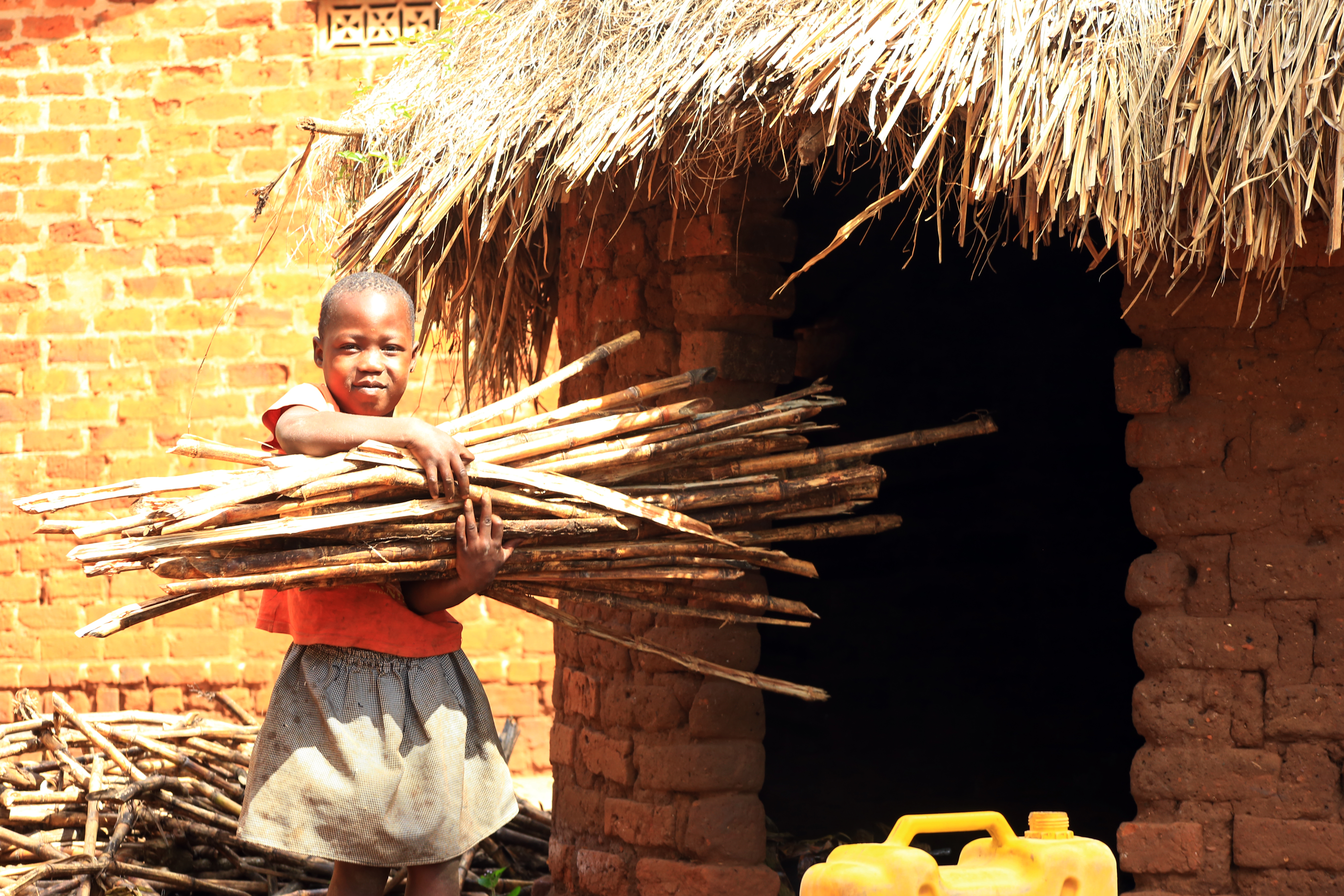 Protection and Counselling